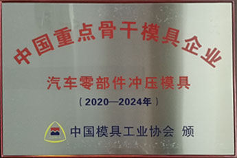 中國重點骨干模具企業